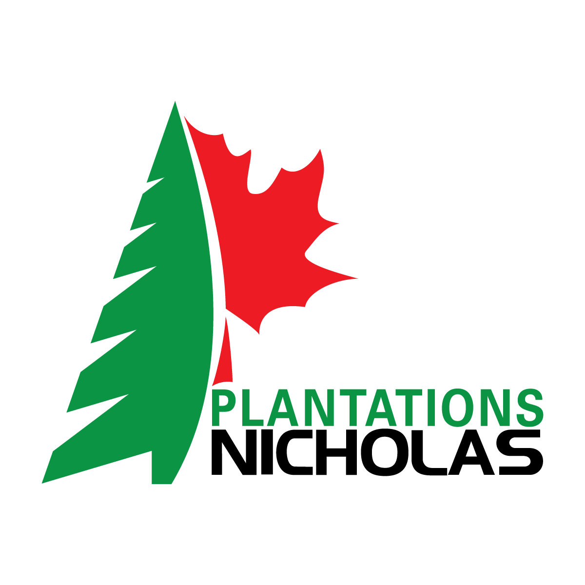 Plantations Nicholas: Embracing Eco-Friendly Christmas Traditions.