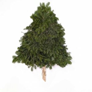 Balsam Frame Tree
